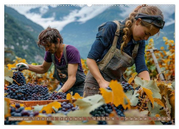 Produktbild: Wein begeistert (Wandkalender 2026 DIN A2 quer), CALVENDO Monatskalender