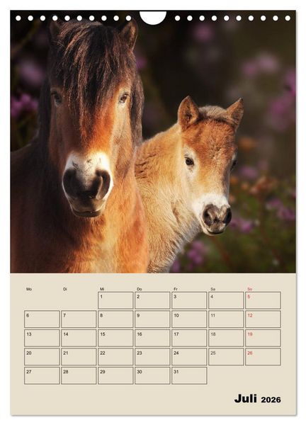 Produktbild: Pferdetr&auml;umereien - Traumbilder von Traumpferden (Wandkalender 2026 DIN A4 hoch), CALVENDO Monatskalender