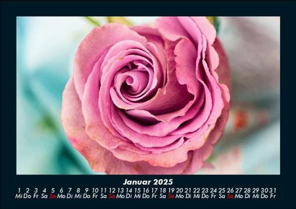 Produktbild: Blumenkalender 2025 Fotokalender DIN A5