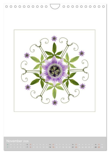 Produktbild: Pflanzen - Mandalas aus Bl&uuml;ten und Bl&auml;ttern (Wandkalender 2026 DIN A4 hoch), CALVENDO Monatskalender