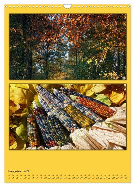 Produktbild: Farbtupferl der Natur (Wandkalender 2026 DIN A3 hoch), CALVENDO Monatskalender