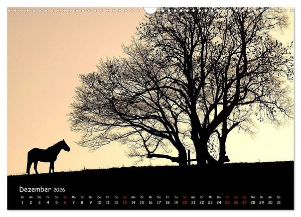 Produktbild: Billerbeck - Perle der Baumberge (Wandkalender 2026 DIN A3 quer), CALVENDO Monatskalender
