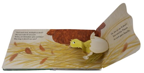 Produktbild: Mein Pop-up-Buch zum Staunen. Wo kommst du her, kleines K&uuml;ken?