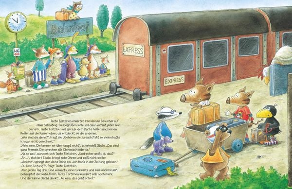 Produktbild: Der kleine Rabe Socke: Alles Abenteuer vom kleinen Raben Socke