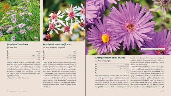 Produktbild: Perennials for the Southeast