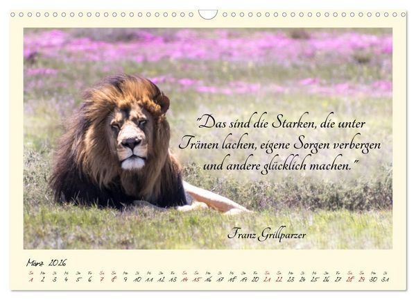 Produktbild: Gl&uuml;cksmomente Gl&uuml;cks-Zitate zu Fotos der gro&szlig;artigen s&uuml;dafrikanischen Tierwelt (Wandkalender 2026 DIN A3 quer), CALVENDO Monatskalender