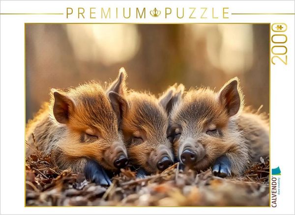 Produktbild: CALVENDO Puzzle Wildschweine | 2000 Teile Lege-Gr&ouml;&szlig;e 90x67cm Foto-Puzzle f&uuml;r gl&uuml;ckliche Stunden