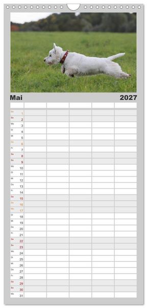 Produktbild: Familienplaner 2027 - West Highland White Terrier - Selbstbewustes Powerpaket - der Westie mit 5 Spalten (Wandkalender, 21 x 45 cm) CALVENDO