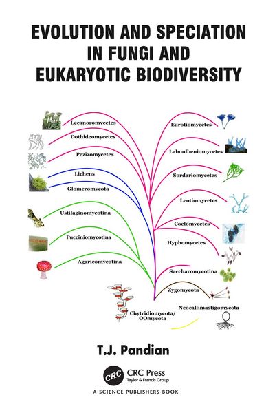 Produktbild: Evolution and Speciation in Fungi and Eukaryotic Biodiversity