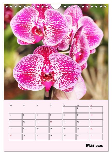 Produktbild: Orchideenliebe (Wandkalender 2026 DIN A4 hoch), CALVENDO Monatskalender