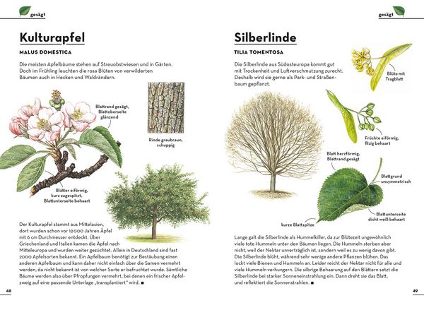 Produktbild: Einfach B&auml;ume