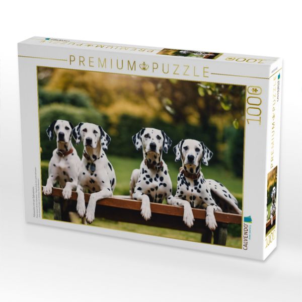 Produktbild: CALVENDO Puzzle Fotosession mit vier Dalmatinern | 1000 Teile Lege-Gr&ouml;&szlig;e 64x48cm Foto-Puzzle f&uuml;r gl&uuml;ckliche Stunden