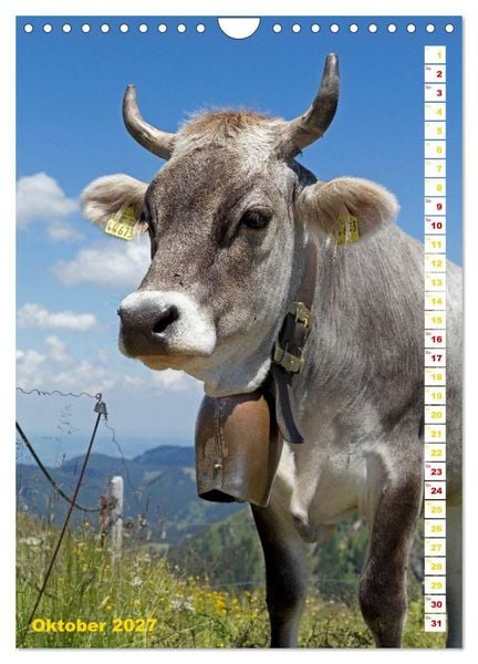 Produktbild: Das Allg&auml;u im Sommer (Wandkalender 2027 DIN A4 hoch), CALVENDO Monatskalender