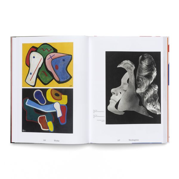 Produktbild: Raoul Hausmann (1886&ndash;1971). Vision. Provokation. Dada.