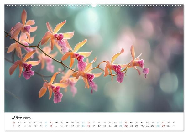 Produktbild: Im Schatten der Orchidee (hochwertiger Premium Wandkalender 2026 DIN A2 quer), Kunstdruck in Hochglanz