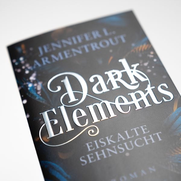 Dark Elements 2 - Eiskalte Sehnsucht
