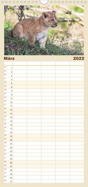 Produktbild: L&ouml;wen - Raubkatzen Afrikas - Familienplaner hoch (Wandkalender 2022 , 21 cm x 45 cm, hoch)