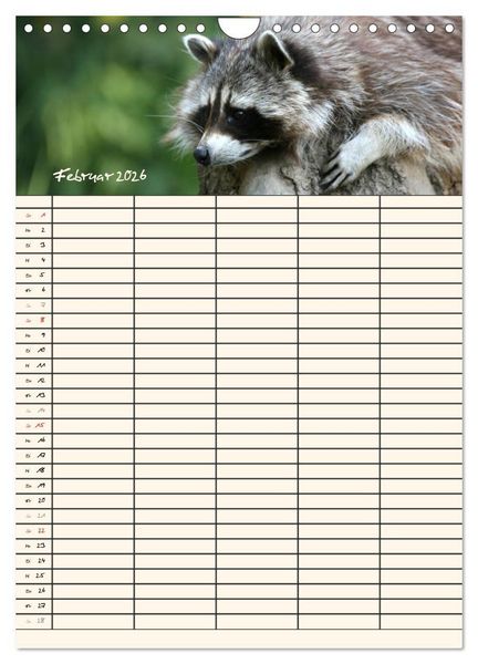 Produktbild: Waschb&auml;ren Familienplaner (Wandkalender 2026 DIN A4 hoch), CALVENDO Monatskalender
