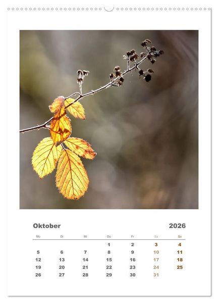 Produktbild: Minimalistisch, Gr&auml;ser, Bl&uuml;ten, Bl&auml;tter und Zweige im Fokus (hochwertiger Premium Wandkalender 2026 DIN A2 hoch), Kunstdruck in Hochglanz