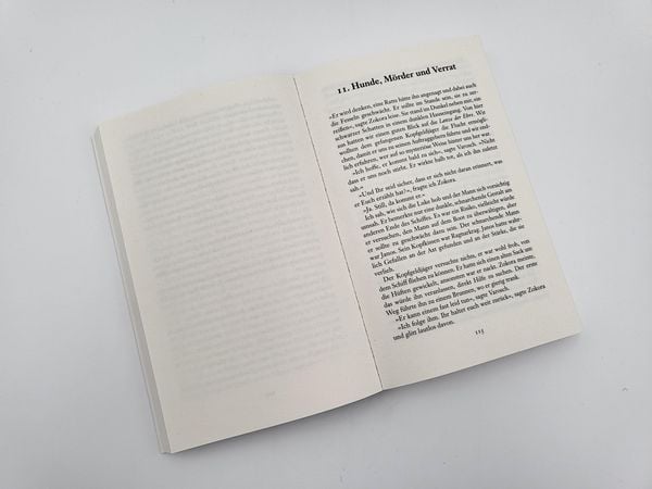 Produktbild: Das Auge der W&uuml;ste / Das Geheimnis von Askir Band 3