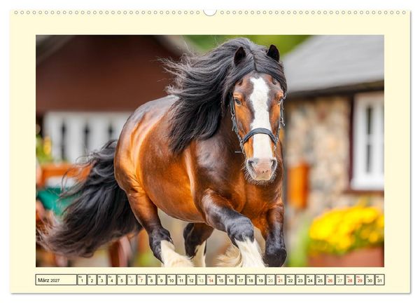 Produktbild: Shire Horse Momente. Masse und Kraft in Bewegung (hochwertiger Premium Wandkalender 2027 DIN A2 quer), Kunstdruck in Hochglanz