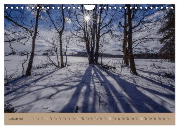 Produktbild: Unser Wald - Magische Sichten in norddeutsche W&auml;lder (Wandkalender 2026 DIN A4 quer), CALVENDO Monatskalender