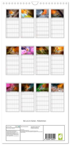 Produktbild: Familienplaner 2027 - Bei uns im Garten - Rotkehlchen mit 5 Spalten (Wandkalender, 21 x 45 cm) CALVENDO