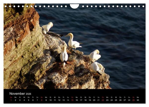 Produktbild: Hochseeeinsel Helgoland (Wandkalender 2026 DIN A4 quer), CALVENDO Monatskalender