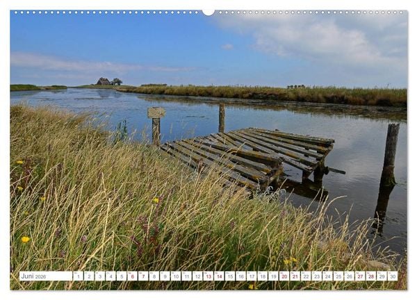 Produktbild: Sommertage auf Hallig Hooge (hochwertiger Premium Wandkalender 2026 DIN A2 quer), Kunstdruck in Hochglanz