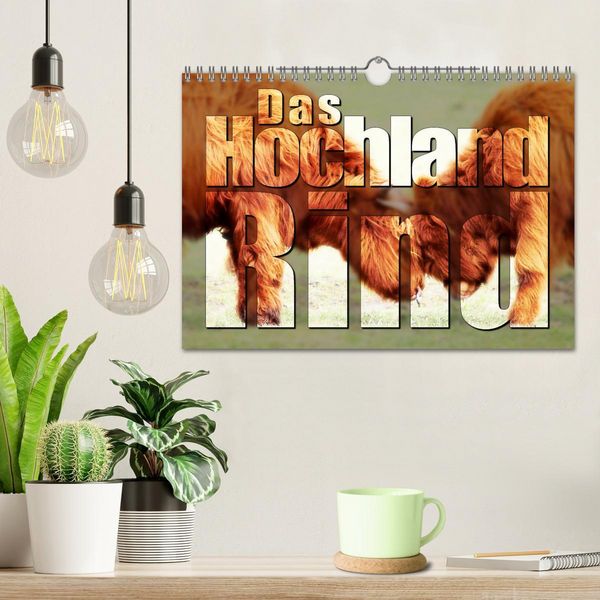 Produktbild: Das Hochlandrind (Wandkalender 2026 DIN A4 quer), CALVENDO Monatskalender