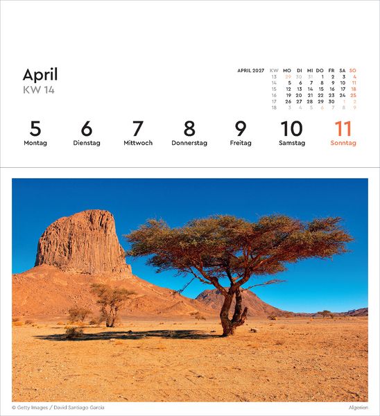 Produktbild: Alte B&auml;ume - KUNTH Postkartenkalender 2027