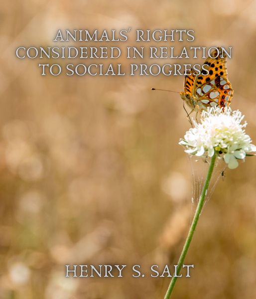Produktbild: Animals' Rights Considered in Relation to Social Progress
