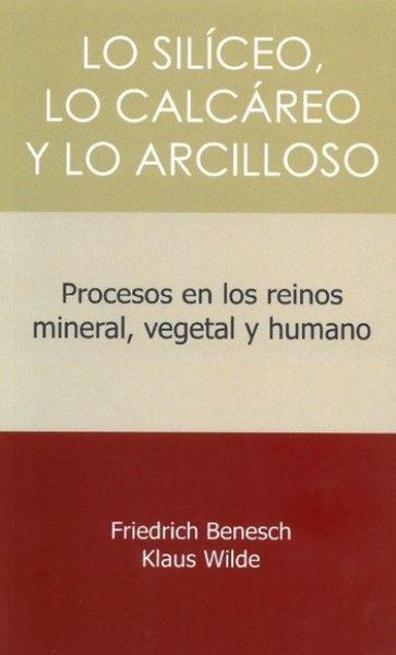 Produktbild: Lo siliceo, lo calcareo y lo arcilloso : procesos en los reinos mineral, vegetal y humano