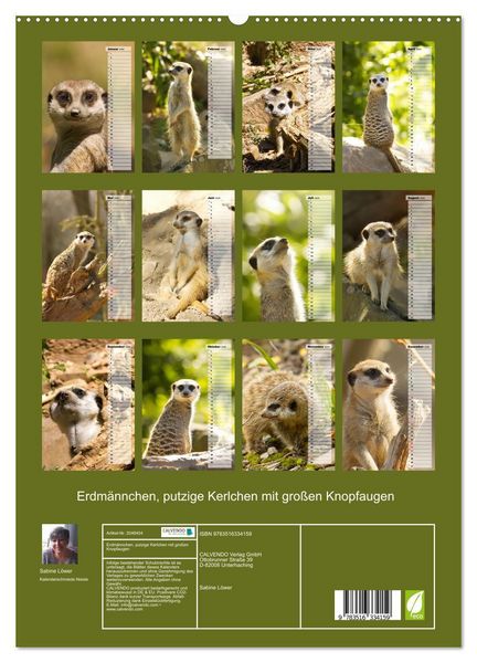 Produktbild: Erdm&auml;nnchen, putzige Kerlchen mit gro&szlig;en Knopfaugen (hochwertiger Premium Wandkalender 2026 DIN A2 hoch), Kunstdruck in Hochglanz