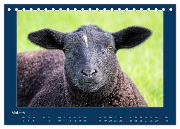 Produktbild: Dangast. Impressionen eines besonderen Ortes. (Tischkalender 2027 DIN A5 quer), CALVENDO Monatskalender