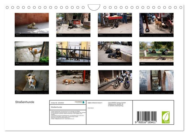 Produktbild: Stra&szlig;enhunde (Wandkalender 2026 DIN A4 quer), CALVENDO Monatskalender