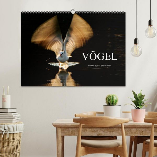 Produktbild: V&Ouml;GEL (Wandkalender 2026 DIN A2 quer), CALVENDO Monatskalender