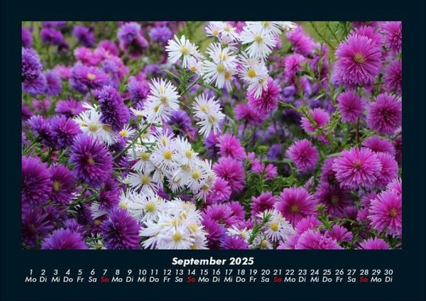 Produktbild: Blumenzauber 2025 Fotokalender DIN A4