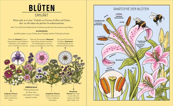 Der Natur-Erklärer