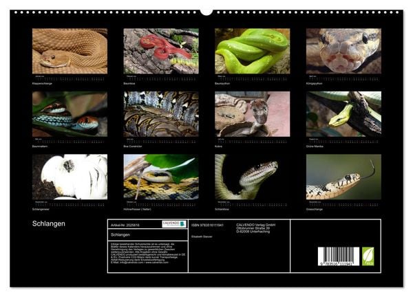Produktbild: Schlangen (hochwertiger Premium Wandkalender 2026 DIN A2 quer), Kunstdruck in Hochglanz