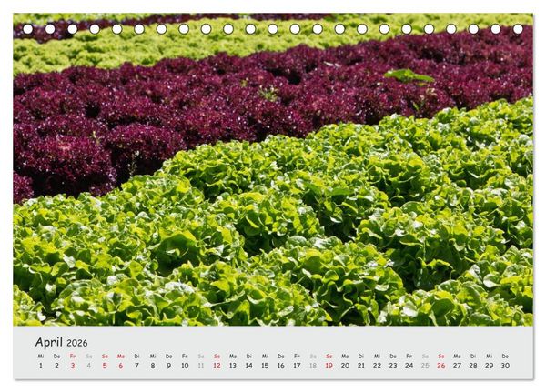 Produktbild: Insel Reichenau - Klosterinsel im Bodensee (Tischkalender 2026 DIN A5 quer), CALVENDO Monatskalender
