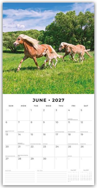 Produktbild: Horses &ndash; Pferde 2027 &ndash; 16-Monatskalender