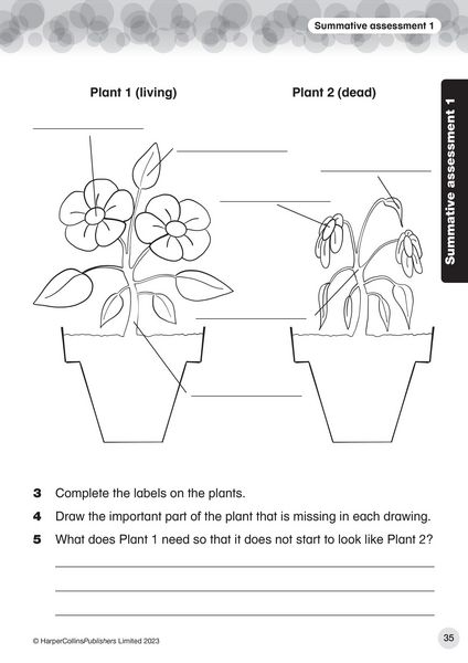 Produktbild: Collins International Primary Science