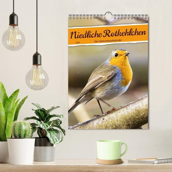 Produktbild: Niedliche Rotkehlchen (Wandkalender 2026 DIN A4 hoch), CALVENDO Monatskalender