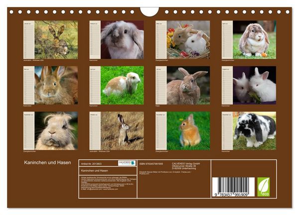 Produktbild: Kaninchen und Hasen (Wandkalender 2026 DIN A4 quer), CALVENDO Monatskalender