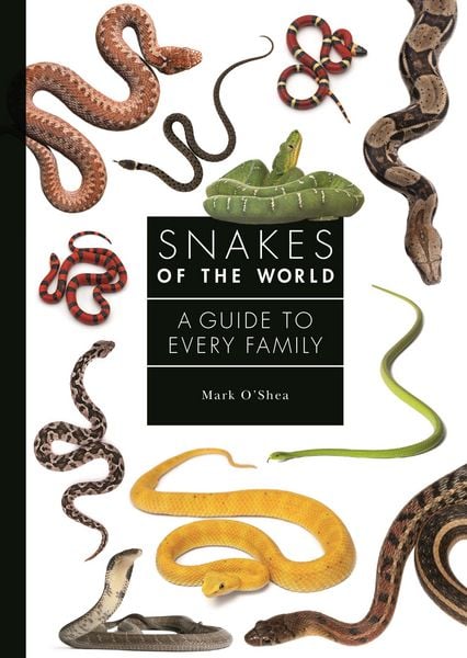 Produktbild: Snakes of the World