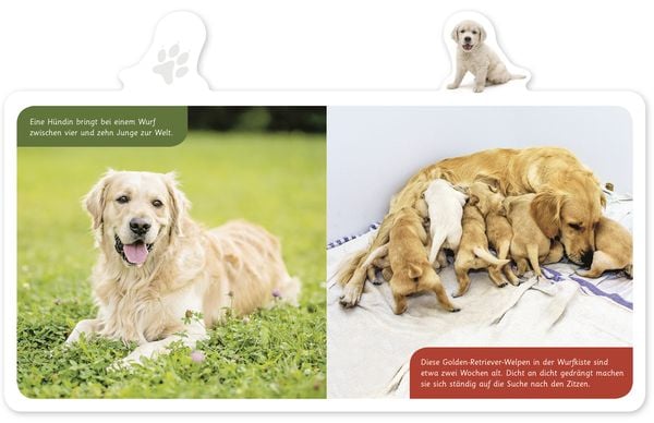 Produktbild: Der Hund