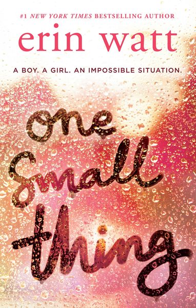 Book cover of One Small Thing