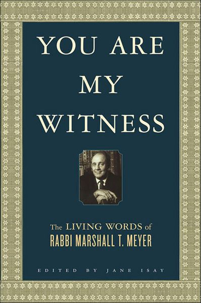 Produktbild: You Are My Witness