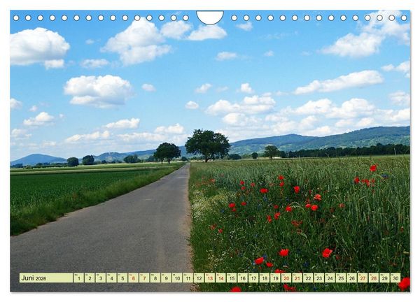 Produktbild: Weinregion Bergstra&szlig;e Burgen, Wein und Mandelbl&uuml;te (Wandkalender 2026 DIN A4 quer), CALVENDO Monatskalender
